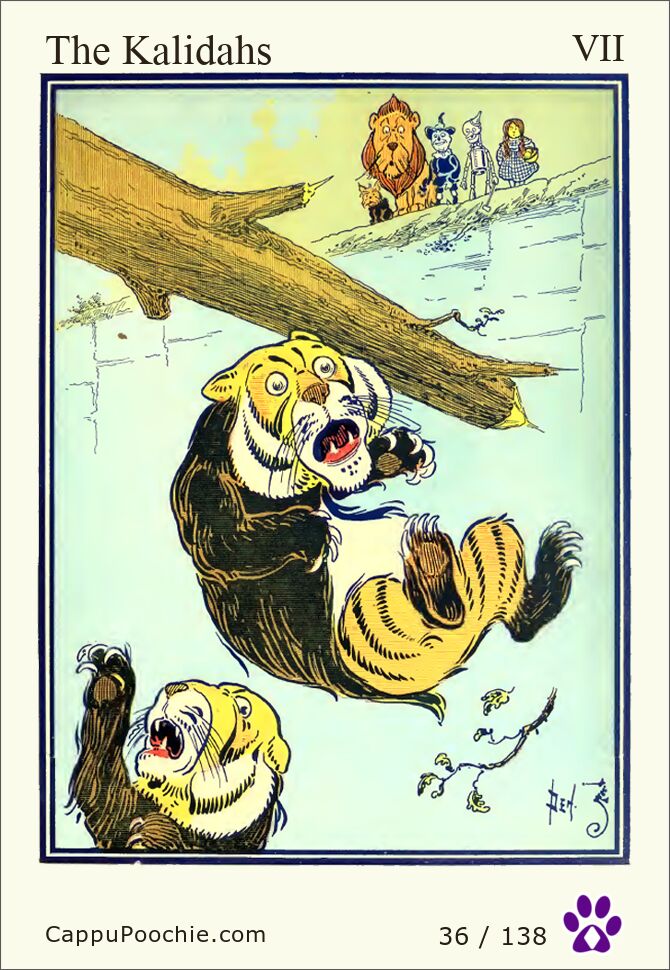 wwooz Card 036