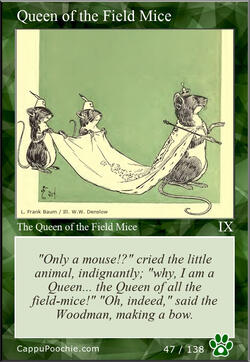 wwooz Card 047