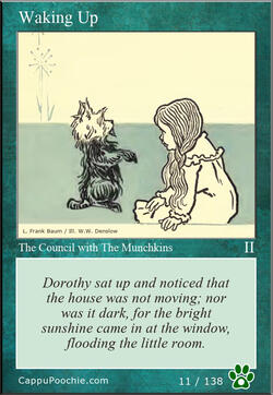 wwooz Card 011
