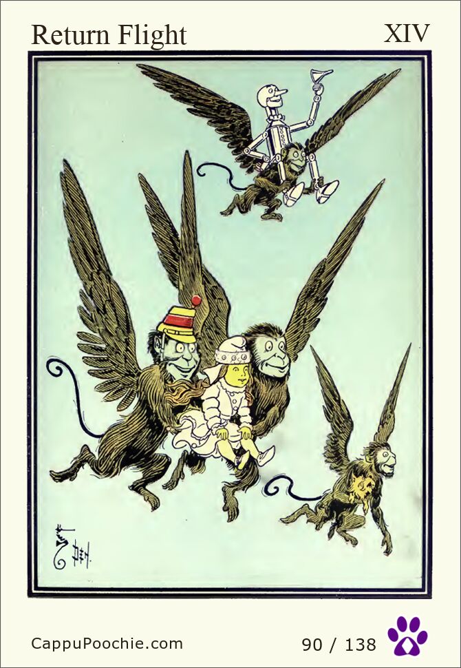 wwooz Card 090