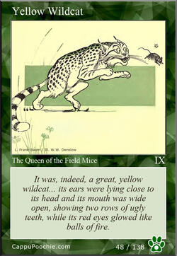 wwooz Card 048