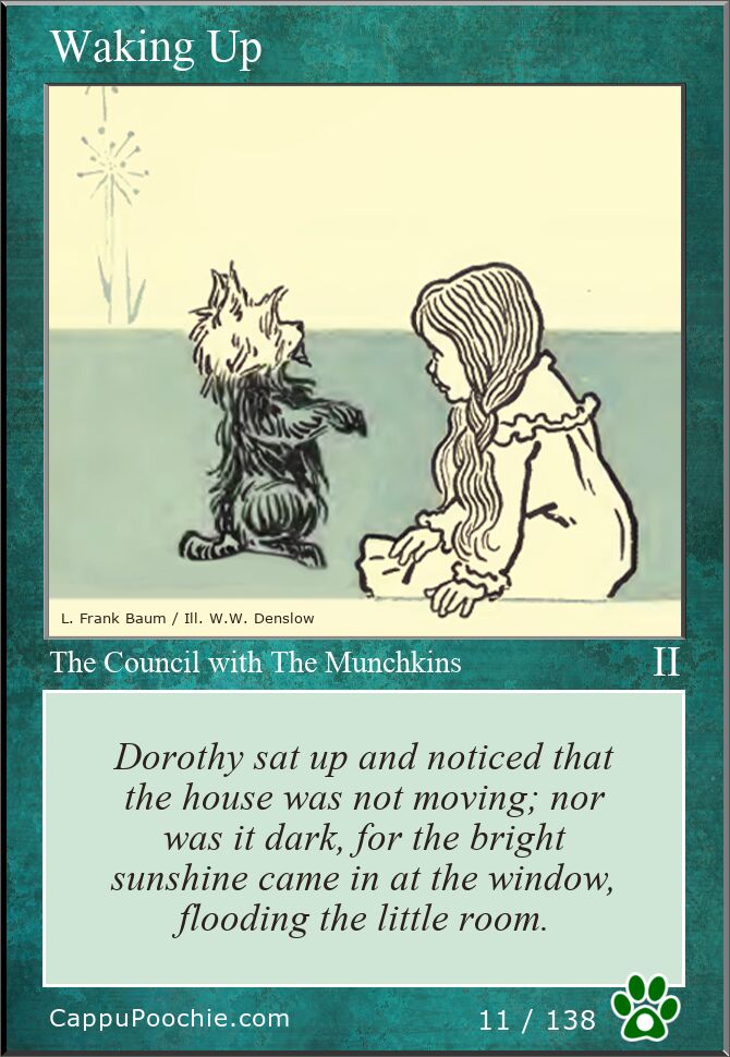 wwooz Card 011