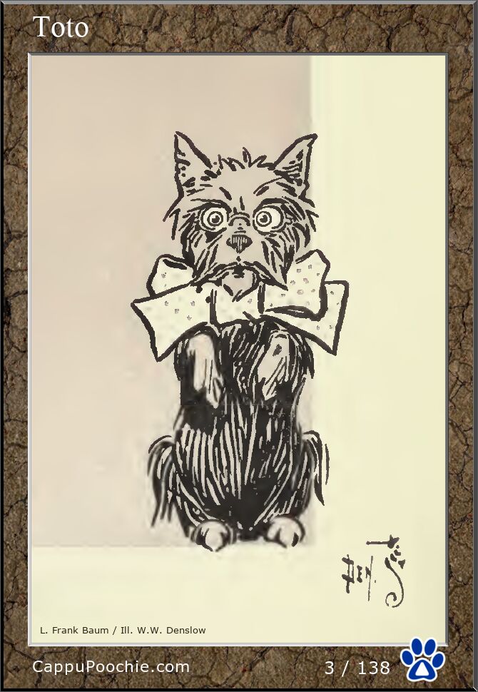wwooz Card 003