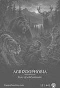 phobias Card 013