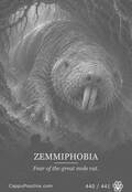 phobias Card 440