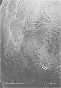 planets Card 10