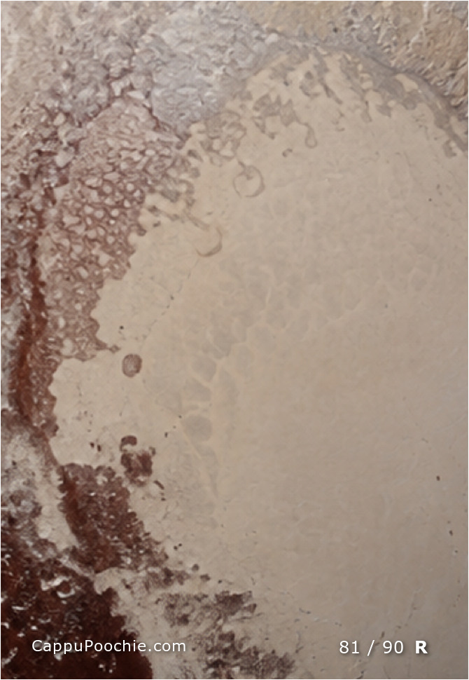 planets Card 81