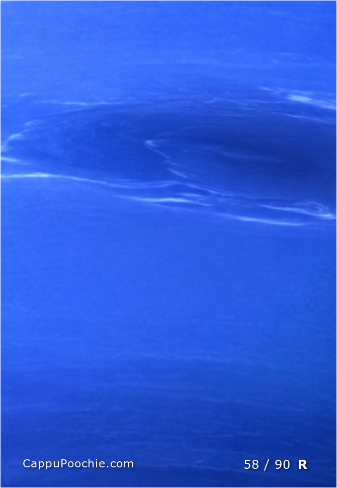 planets Card 58