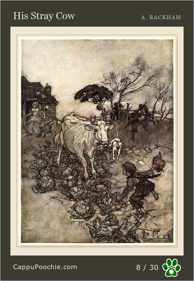 ripvanwinkle Card 08
