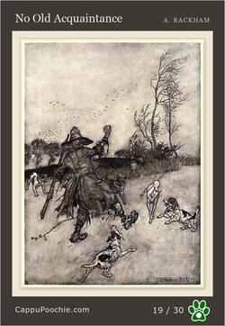 ripvanwinkle Card 19