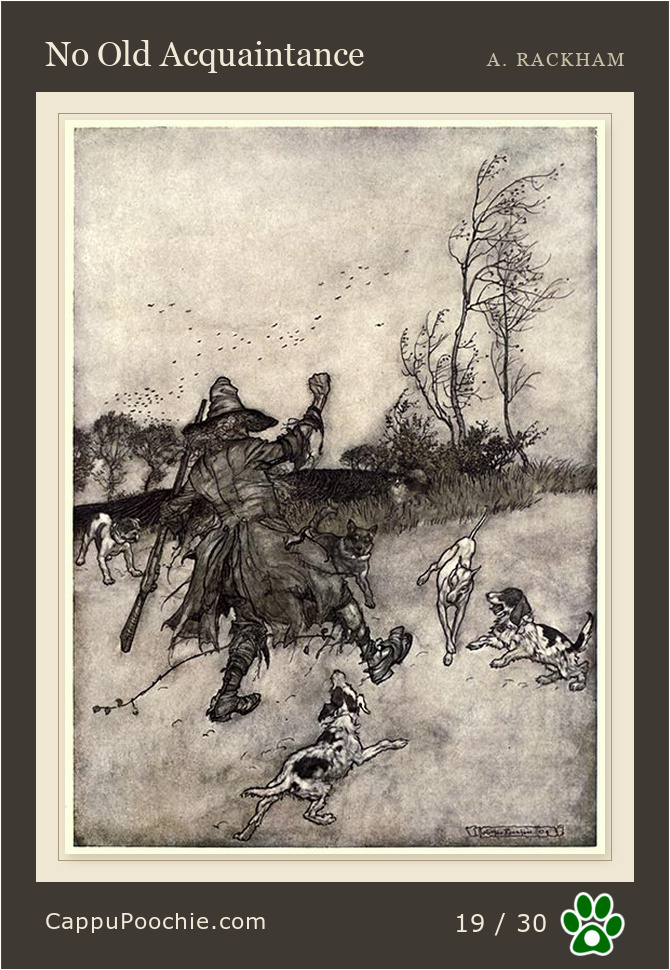 ripvanwinkle Card 19