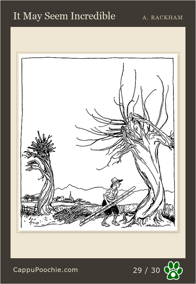ripvanwinkle Card 29