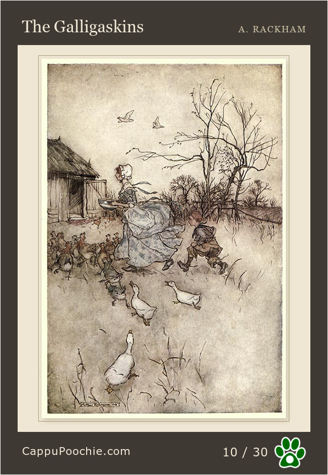 ripvanwinkle Card 10