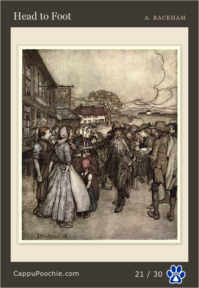 ripvanwinkle Card 21