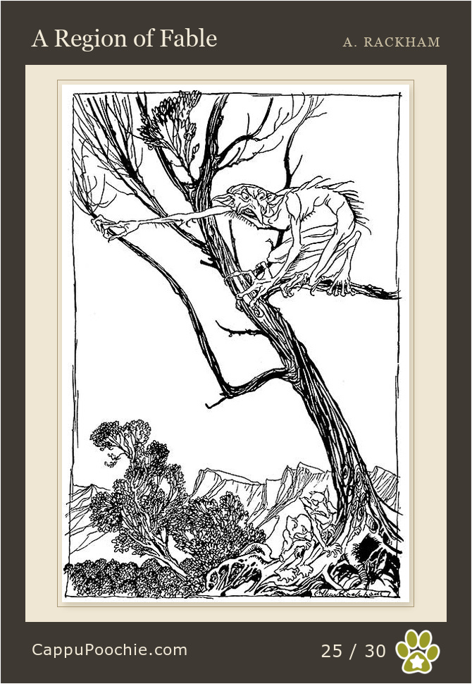 ripvanwinkle Card 25