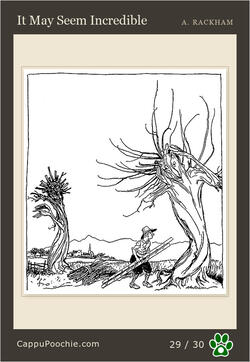 ripvanwinkle Card 29