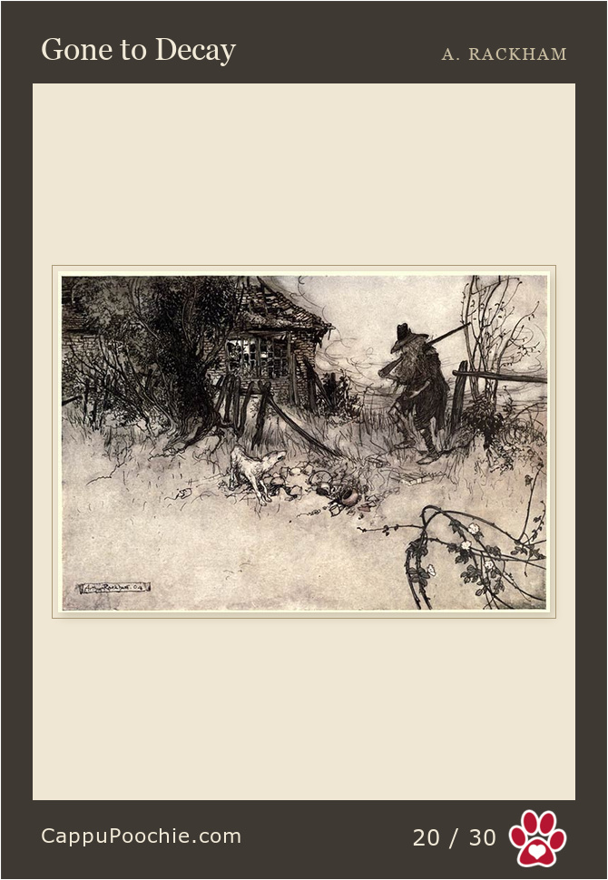 ripvanwinkle Card 20