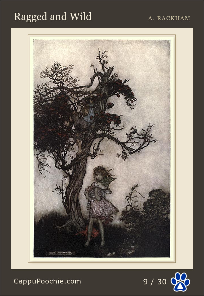 ripvanwinkle Card 09