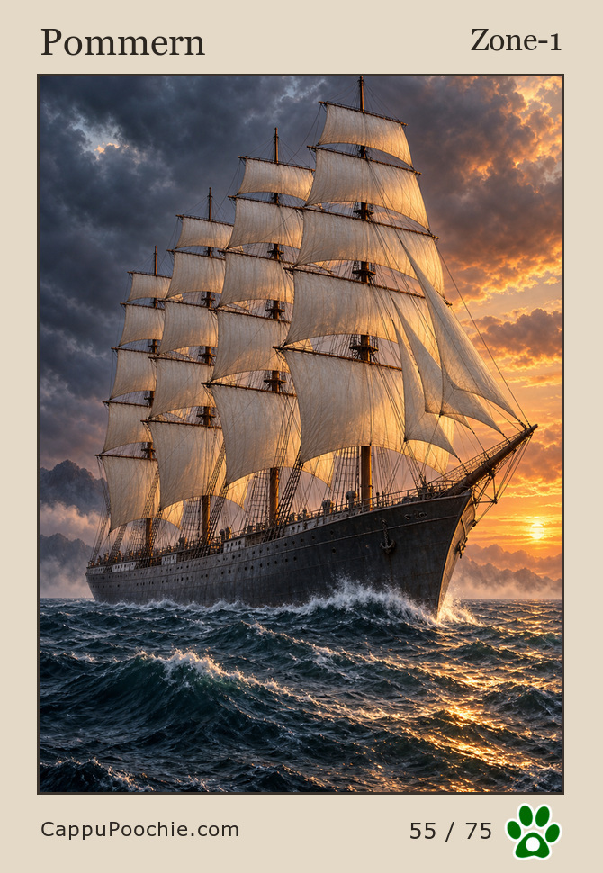 ships Card 55
