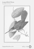 swainson Card 072