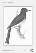 swainson Card 051