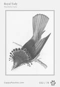 swainson Card 032