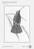 swainson Card 006