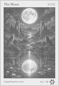 tarot Card 19