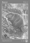 wildlife Card 04