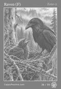wildlife Card 38