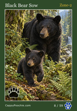 wildlife Card 08