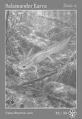 wildlife Card 53