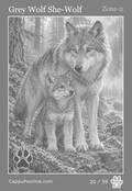 wildlife Card 20