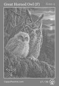 wildlife Card 17