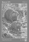 wildlife Card 05