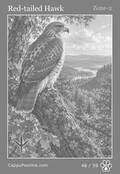 wildlife Card 46