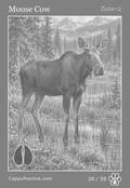 wildlife Card 29