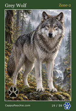 wildlife Card 19