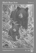 wildlife Card 08