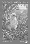 wildlife Card 48