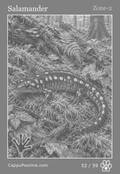 wildlife Card 52
