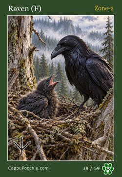 wildlife Card 38