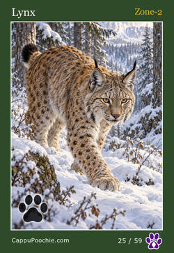 wildlife Card 25