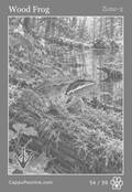 wildlife Card 54