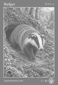 wildlife Card 01