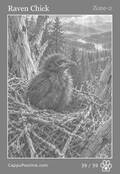wildlife Card 39