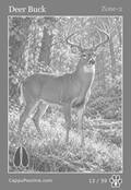wildlife Card 13