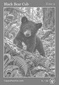 wildlife Card 09