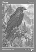 wildlife Card 37