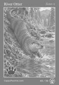 wildlife Card 49
